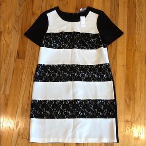 Loft shirt/shift dress